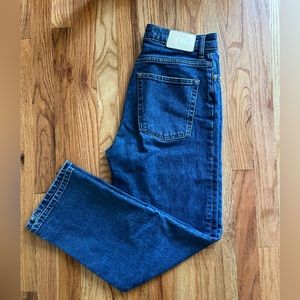 Everlane Way High jean